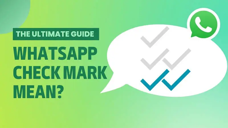 What Do Checkmarks Mean in WhatsApp?