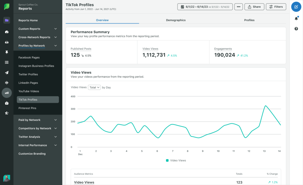 How Does TikTok Track Views?