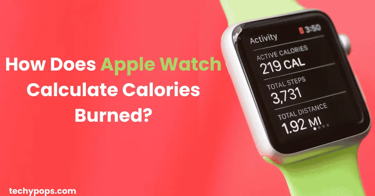 How Does Apple Watch Calculate Calories Burned?